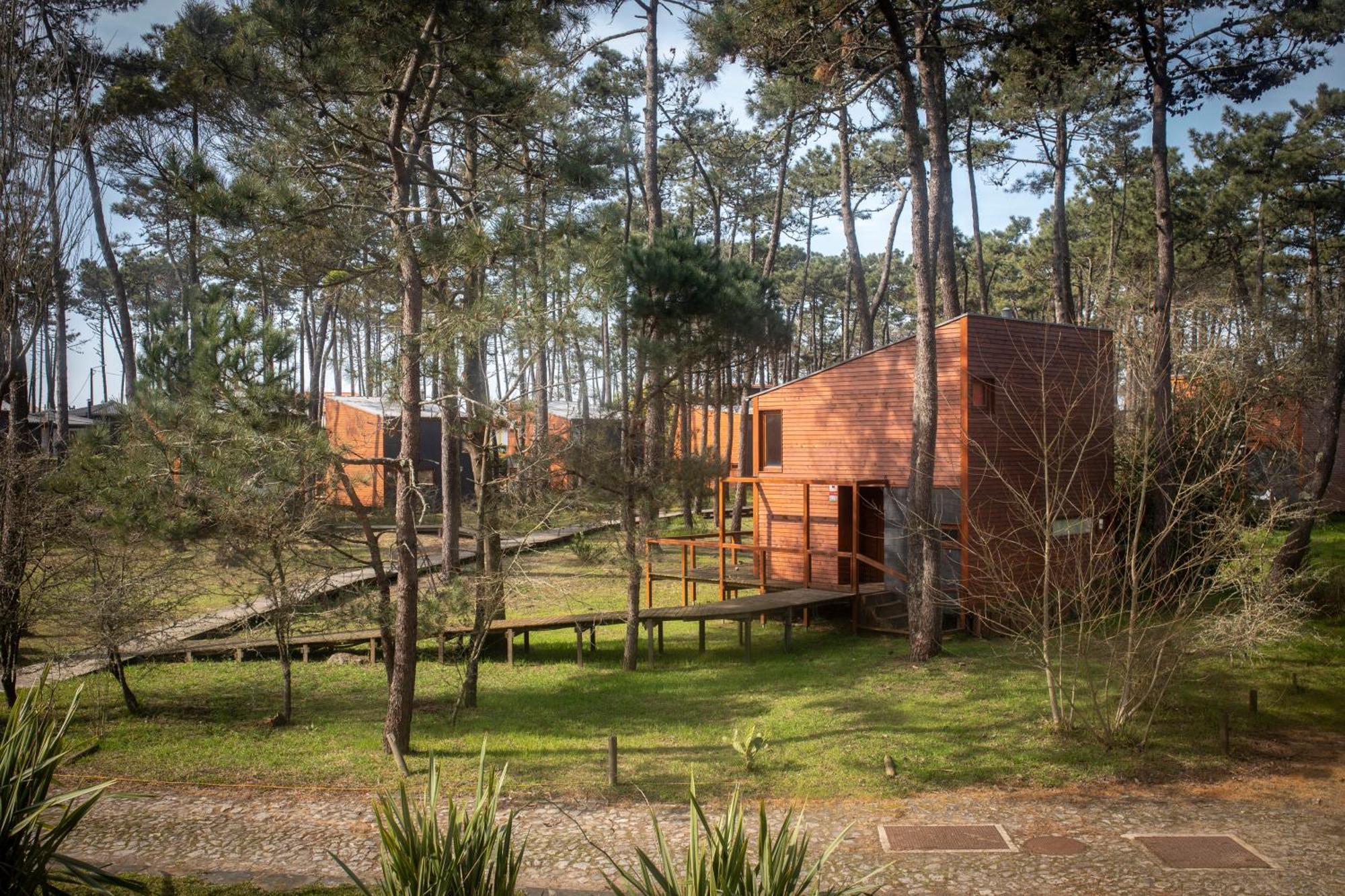 Bungalow B2 - Nature, Beach & River Ofir Luaran gambar