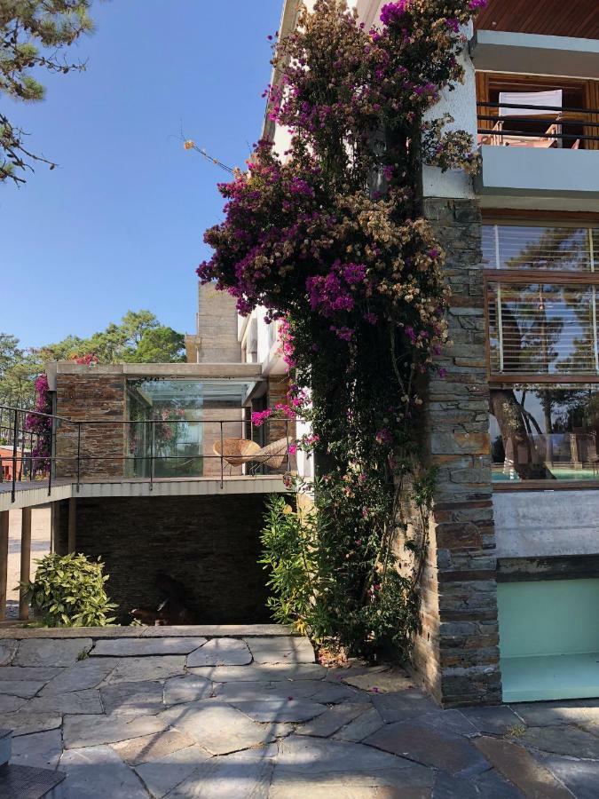 Bungalow B2 - Nature, Beach & River Ofir Luaran gambar